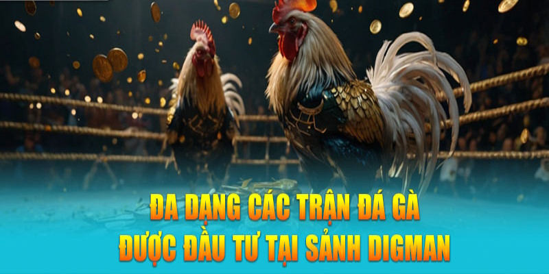 Digmaan đá gà cung cấp nhiều loại hình